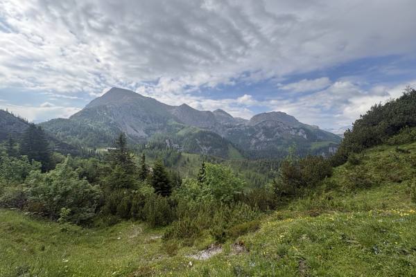 Groß (IMG_3090)